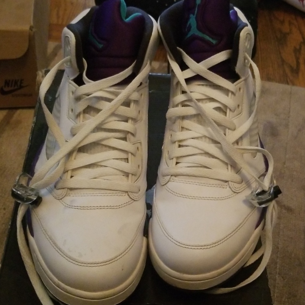 Air Jordan 5 grapes